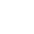 icon custom branding